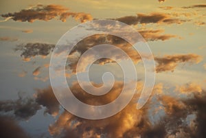 ÃÂ¡elestial palette