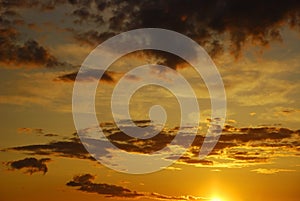 ÃÂ¡elestial palette