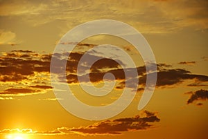 ÃÂ¡elestial palette