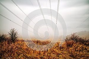 Eletric wires over foggy misty country