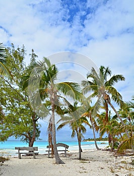 Eleuthera Bahamas beach