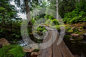 Elevated boardwalk path along western edge of Jordan Pond in Acadia National Park, Maine, USA