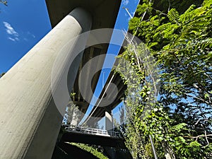 Elevated bridge of a motorway