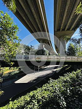 Elevated bridge of a motorway