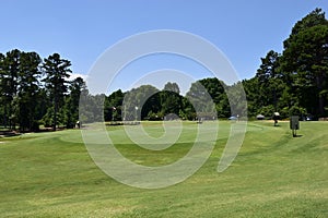 Elevated green at golf course, Georgia, USA