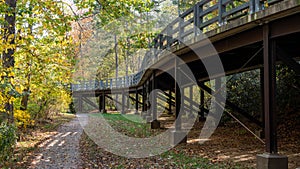 Elevated Roadway in the Autumn Woods