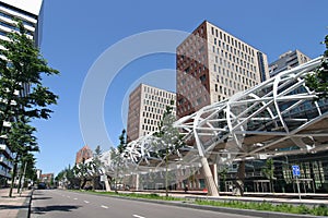 Elevated Train photo