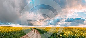 Elevated View Dramatic Sky With Fluffy Clouds On Horizon Above Rural Landscape Blooming Canola Colza Flowers Rapeseed