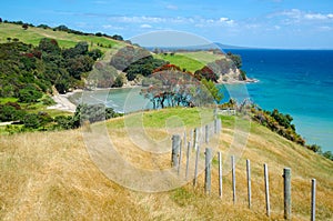 Elevated view from hilltop