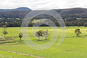 Elevated view looking out over lush green farm pastures