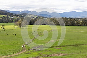 Elevated view looking out over lush green farm pastures