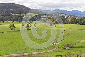 Elevated view looking out over lush green farm pastures