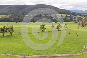 Elevated view looking out over lush green farm pastures