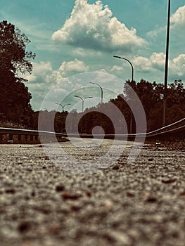 Elevated view of a winding, tree-lined road with no cars in sight