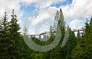 Bachledka treetop walk in the foothills of the Tatra Mountains