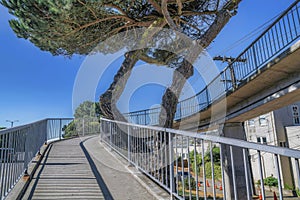 Elevated walkway over a residential road against blue sky on a sunny day