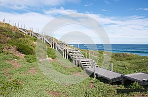 Elevated Walkway at Penguin Island