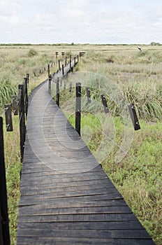 Elevated wooden path over a grassland