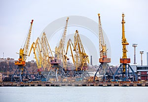 Elevating cranes in port