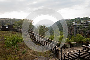 Elevator in the rainforest