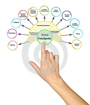 Eleven Brand Touchpoints