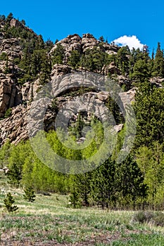 Eleven Mile Canyon Colorado Landscapes