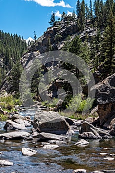 Eleven Mile Canyon Colorado Landscapes