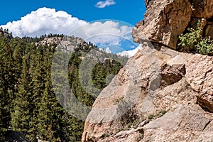 Eleven Mile Canyon Colorado Landscapes