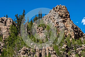 Eleven Mile Canyon Colorado Landscapes