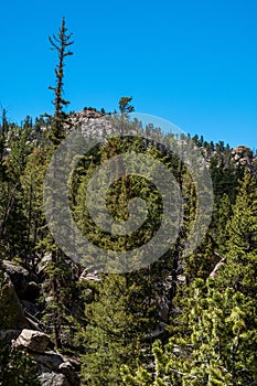 Eleven Mile Canyon Colorado Landscapes