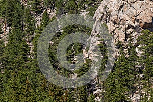 Eleven Mile Canyon Colorado Landscapes