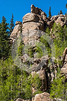 Eleven Mile Canyon Colorado Landscapes