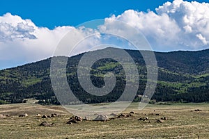 Eleven Mile Lake Reservoir State Park Colorado Landscapes