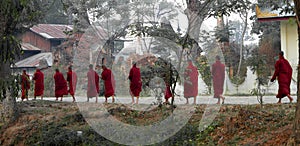 Eleven Monks Walking. Myanmar (Burma)