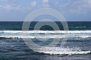Eleven surfers in the Pacific Ocean, paddling out to a waves and getting ready to surf at Ho\'okipa Beach in Maui