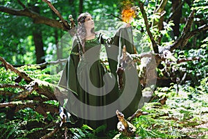 Elf with the element of fire