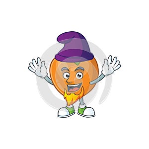 Elf fruit persimmon character for object cartoon