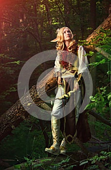 Elf From The Woods photo
