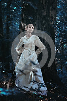 Elfin girl in a moonlight forest photo