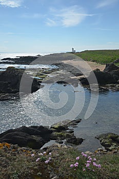 Elie Coast