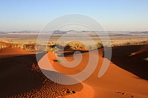 Elim dune near Sesriem photo