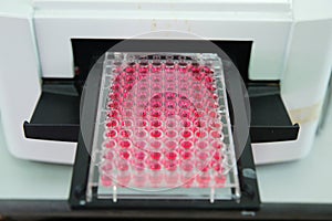 ELISA plate to measure OD with micro plate reader