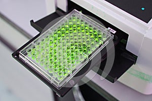 ELISA plate to measure OD with micro plate reader photo