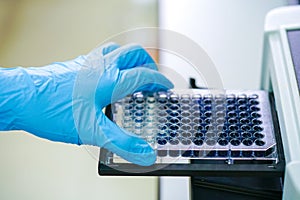 ELISA plate to measure OD with microplate reader. photo
