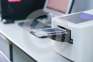 ELISA plate to measure OD with microplate reader. photo
