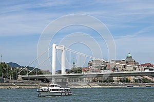 Elisabeth bridge on Danube river