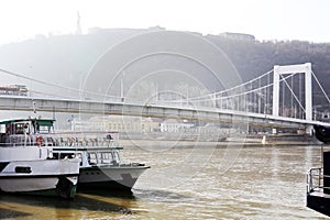 Elisabeth bridge over Danube river in Budapest on a foggy day