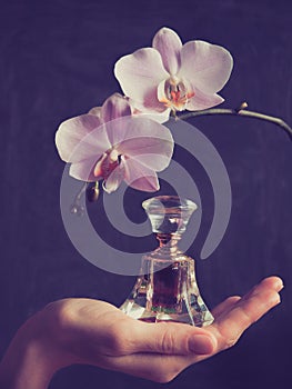 Elite Arab perfume in a crystal bottle. Attar Oud oil.