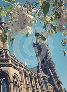 Elite British University Or School photo