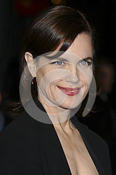 Elizabeth Mcgovern
